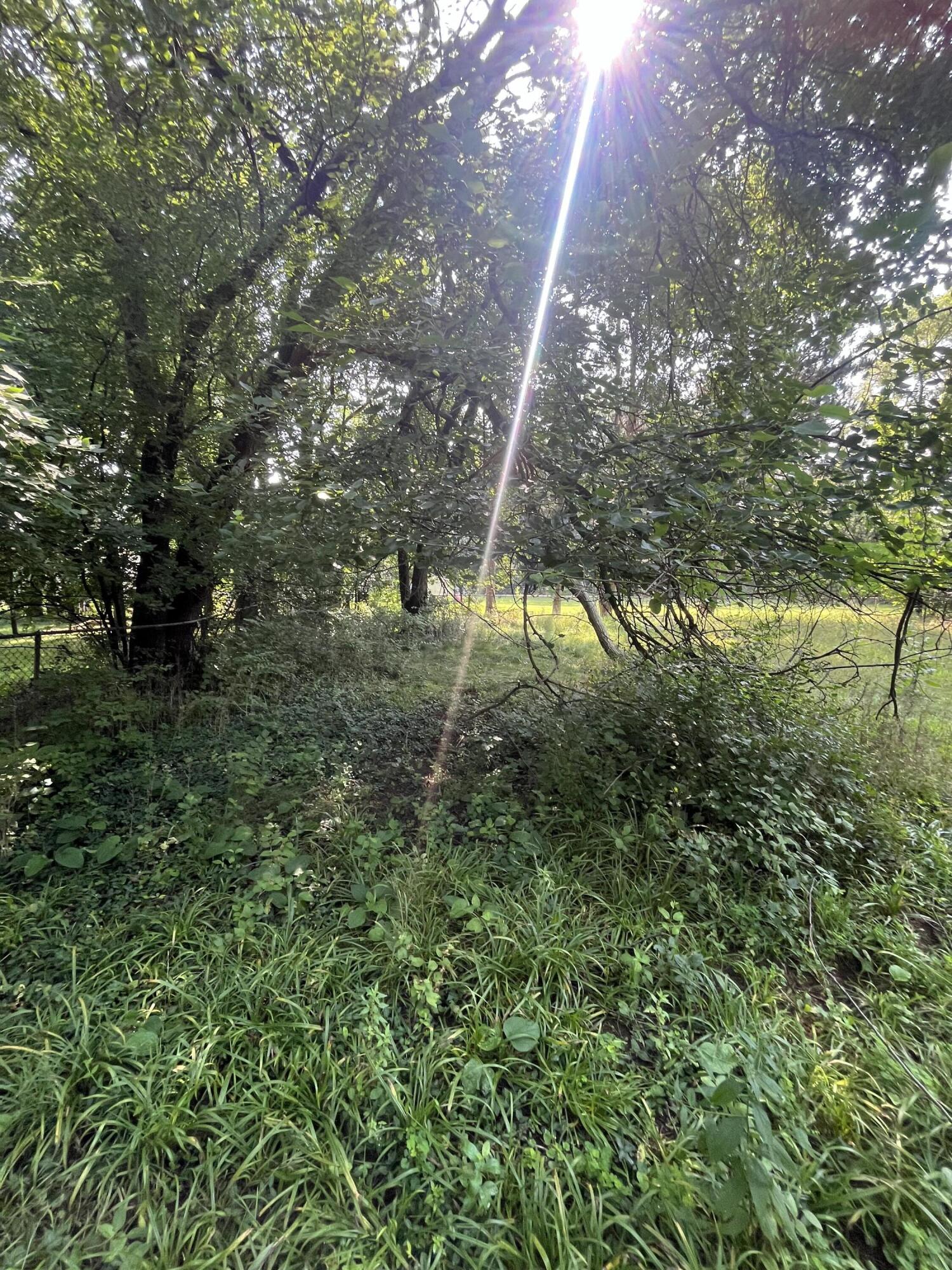 19569 Midway Road Southfield, MI 48075 - Photo 9 of 53 IMG_8126