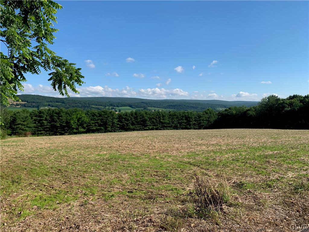 0 Winter Mountain Road Lehighton, PA 18235 - Photo 3 of 3