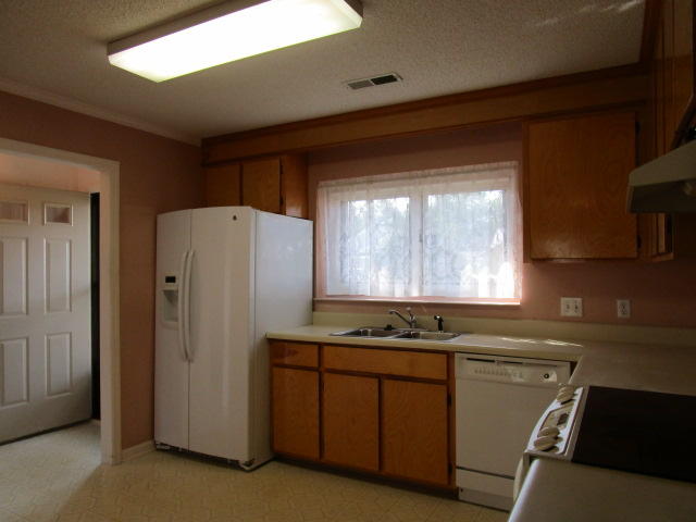 12 Peter Collinson Road Santee, SC 29142 - Photo 4 of 9 Kitchen