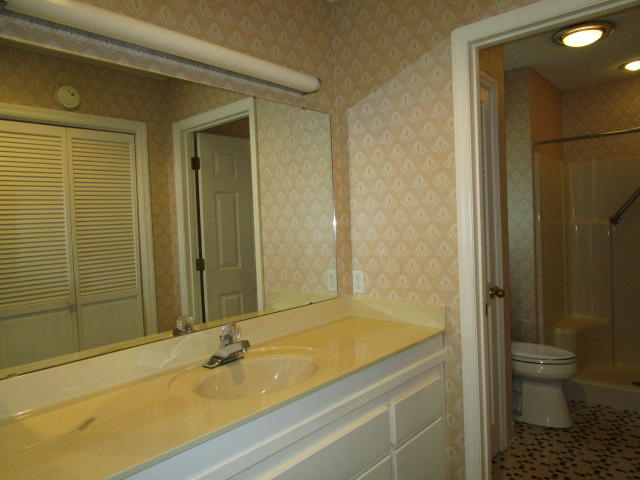 12 Peter Collinson Road Santee, SC 29142 - Photo 7 of 9 Master Bath