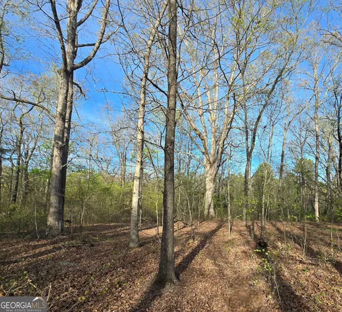$439,000 | 0 Willis Glenn Road, Hull, GA 30646