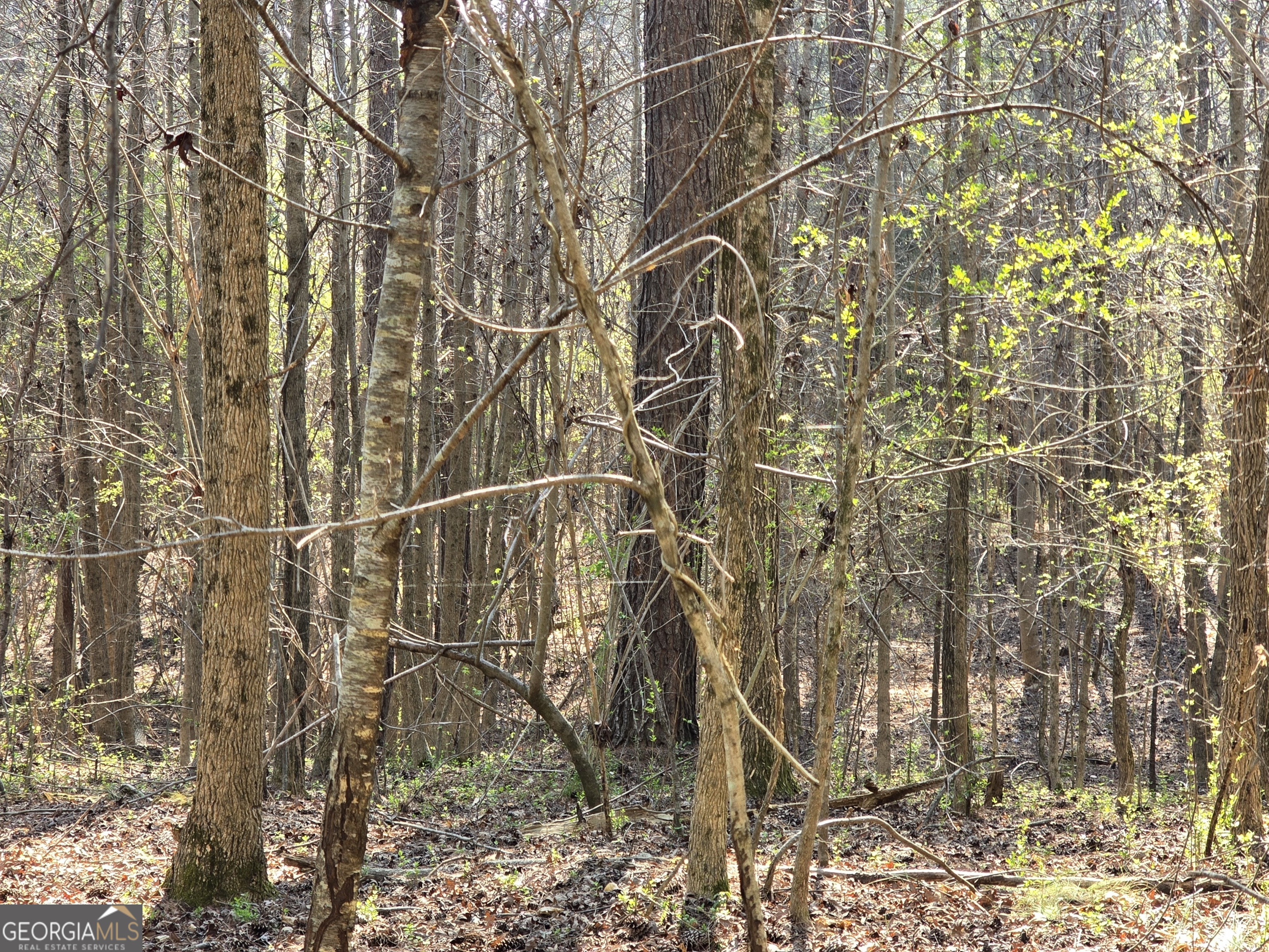 0 Willis Glenn Road Hull, GA 30646 - Photo 11 of 20