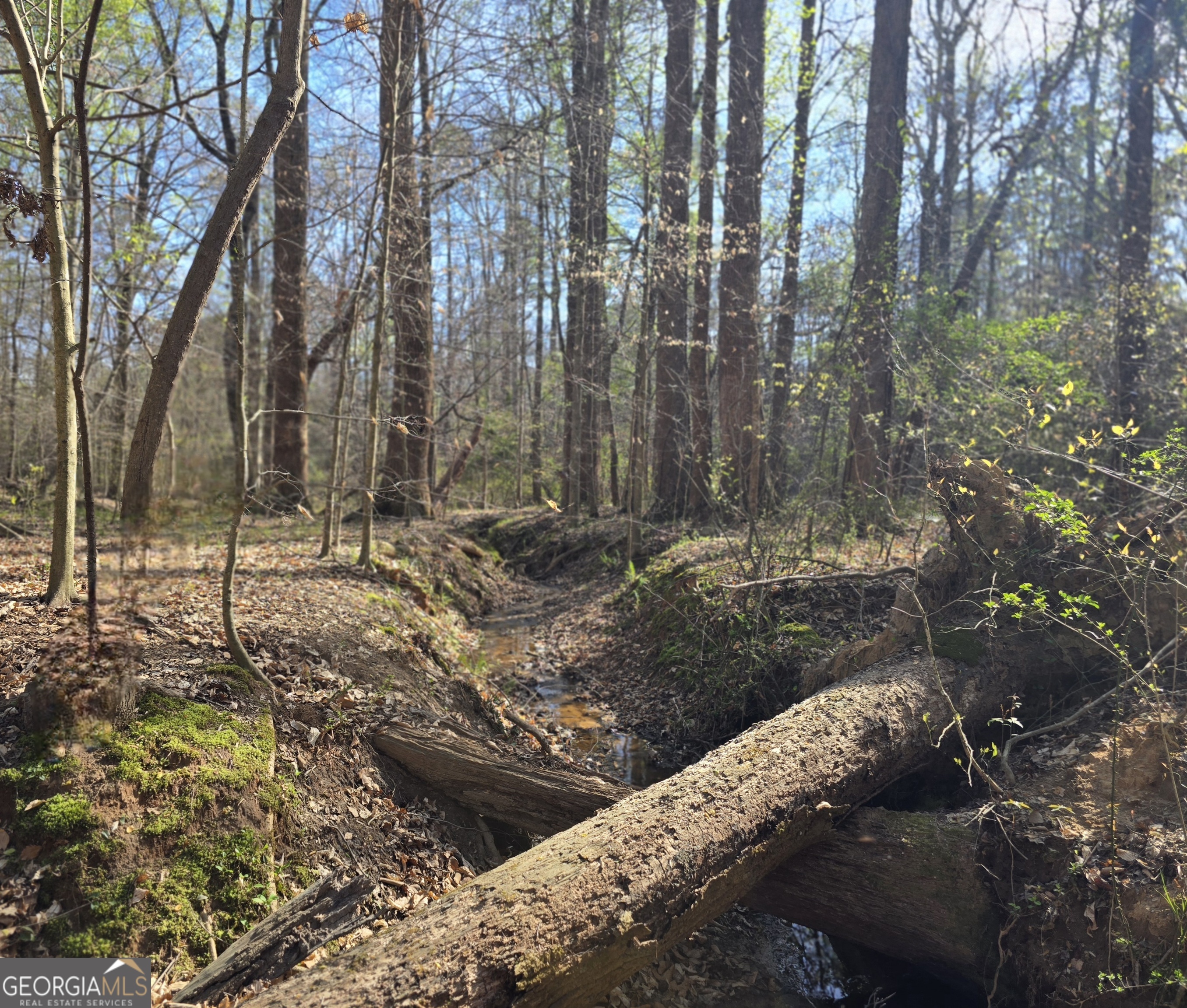 0 Willis Glenn Road Hull, GA 30646 - Photo 13 of 20