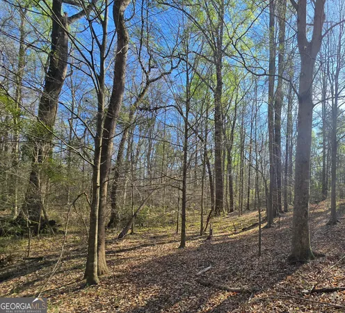 $439,000 | 0 Willis Glenn Road, Hull, GA 30646