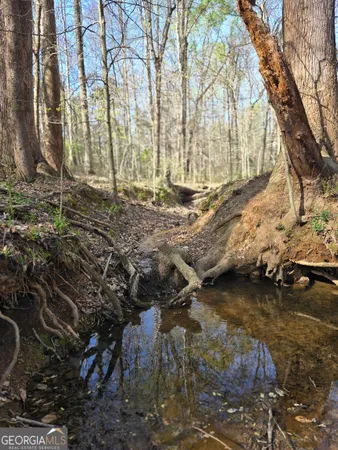 $439,000 | 0 Willis Glenn Road, Hull, GA 30646