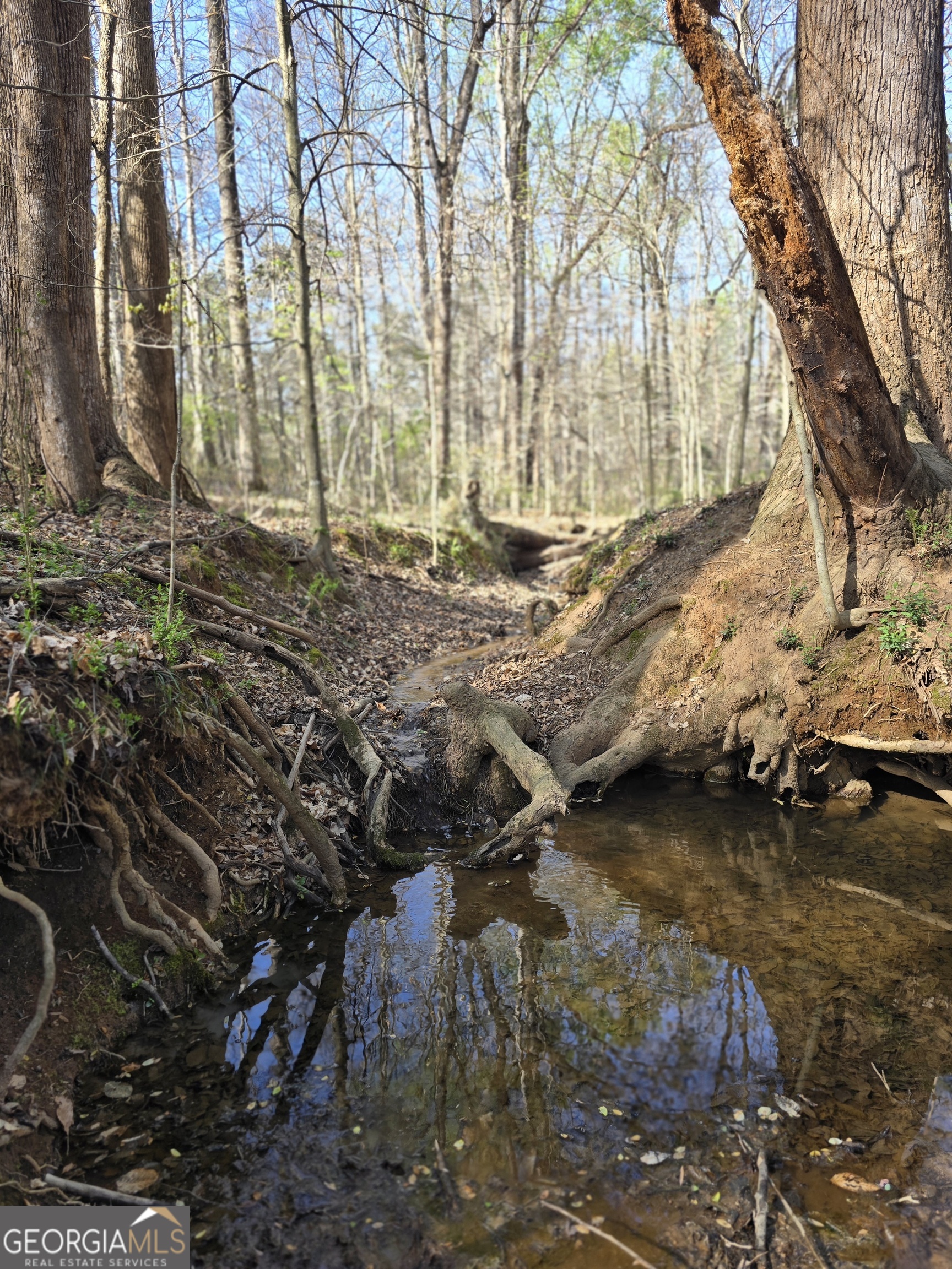 0 Willis Glenn Road Hull, GA 30646 - Photo 19 of 20