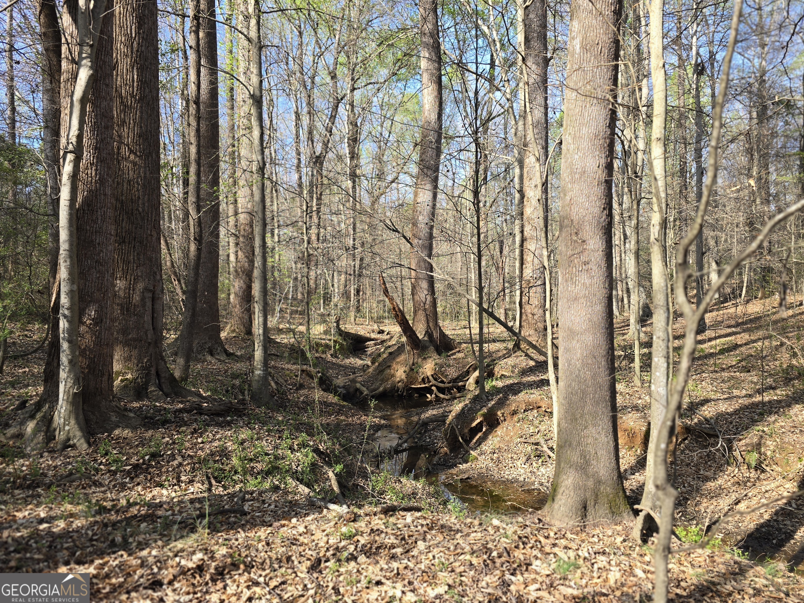 0 Willis Glenn Road Hull, GA 30646 - Photo 20 of 20