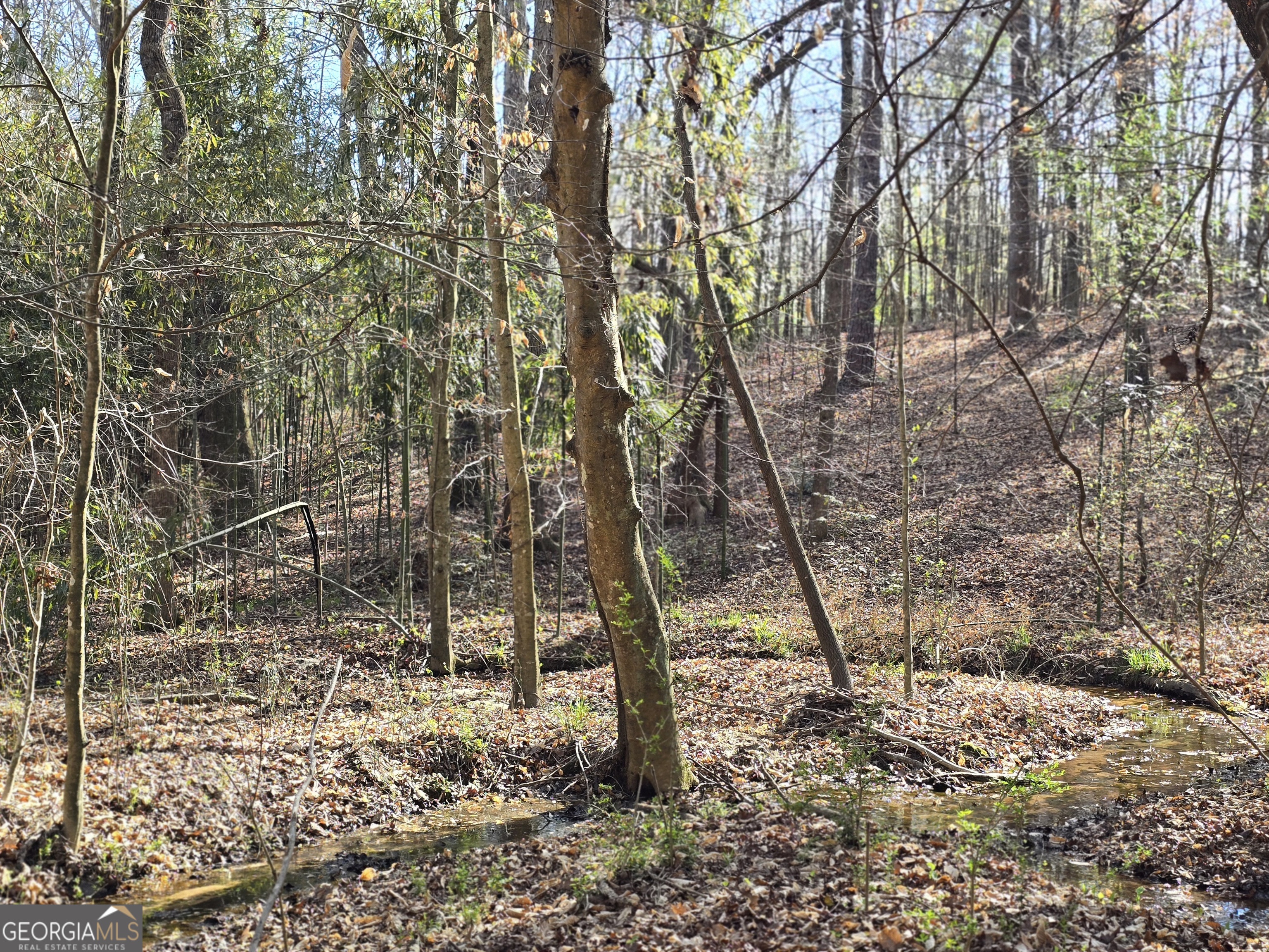 0 Willis Glenn Road Hull, GA 30646 - Photo 2 of 20