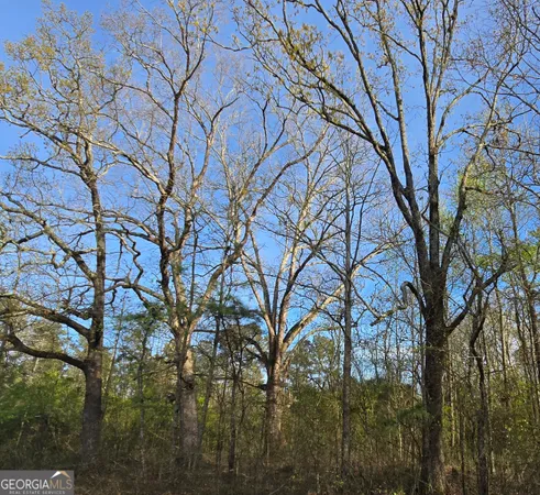 $439,000 | 0 Willis Glenn Road, Hull, GA 30646