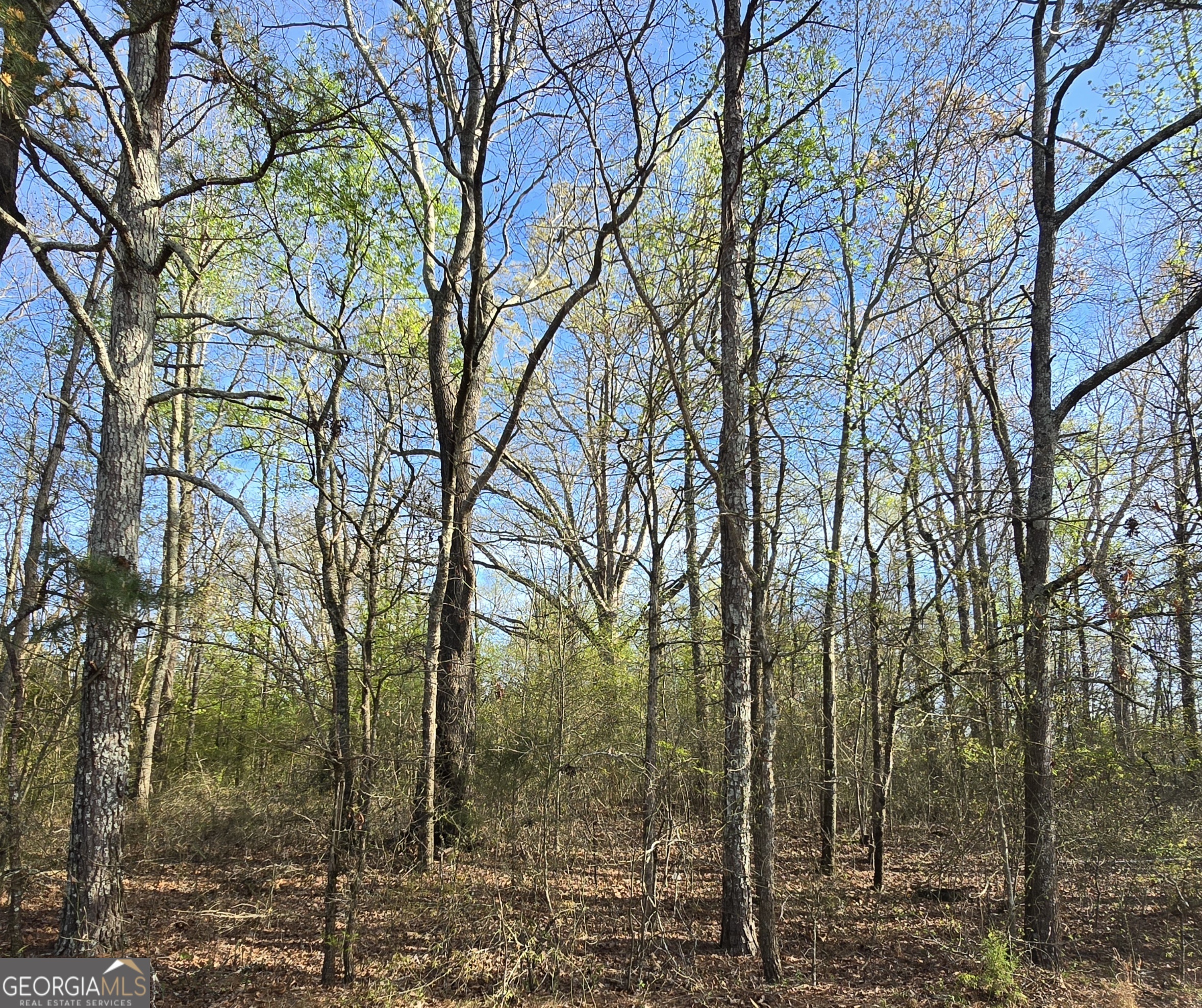 0 Willis Glenn Road Hull, GA 30646 - Photo 4 of 20