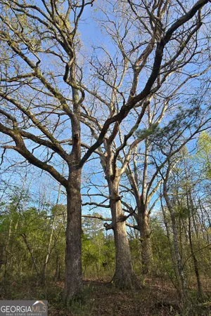 $439,000 | 0 Willis Glenn Road, Hull, GA 30646