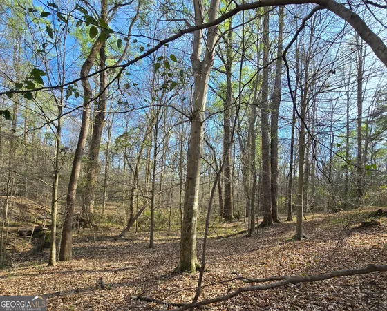 $439,000 | 0 Willis Glenn Road, Hull, GA 30646