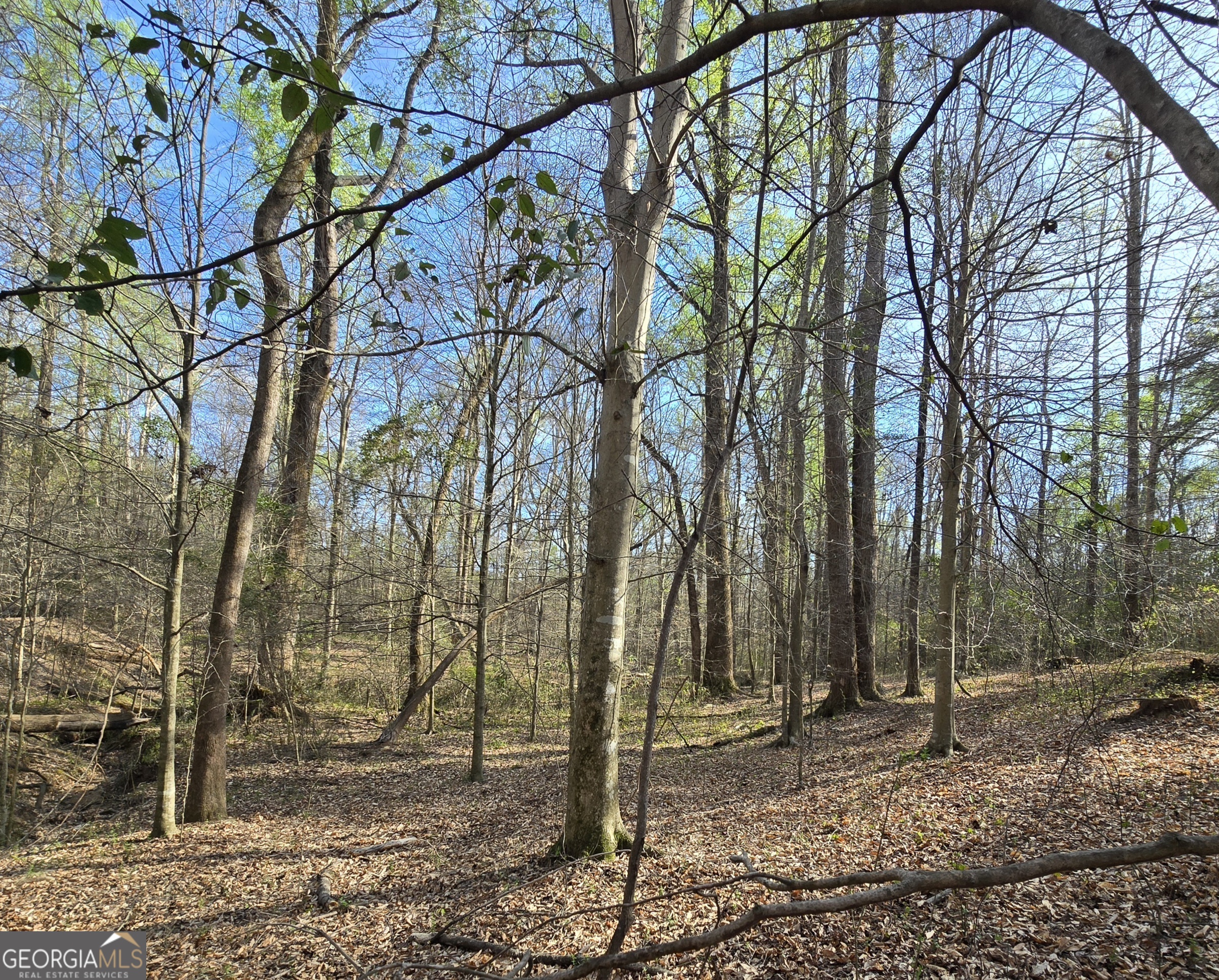 0 Willis Glenn Road Hull, GA 30646 - Photo 8 of 20