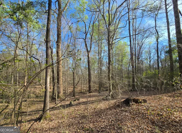 $439,000 | 0 Willis Glenn Road, Hull, GA 30646