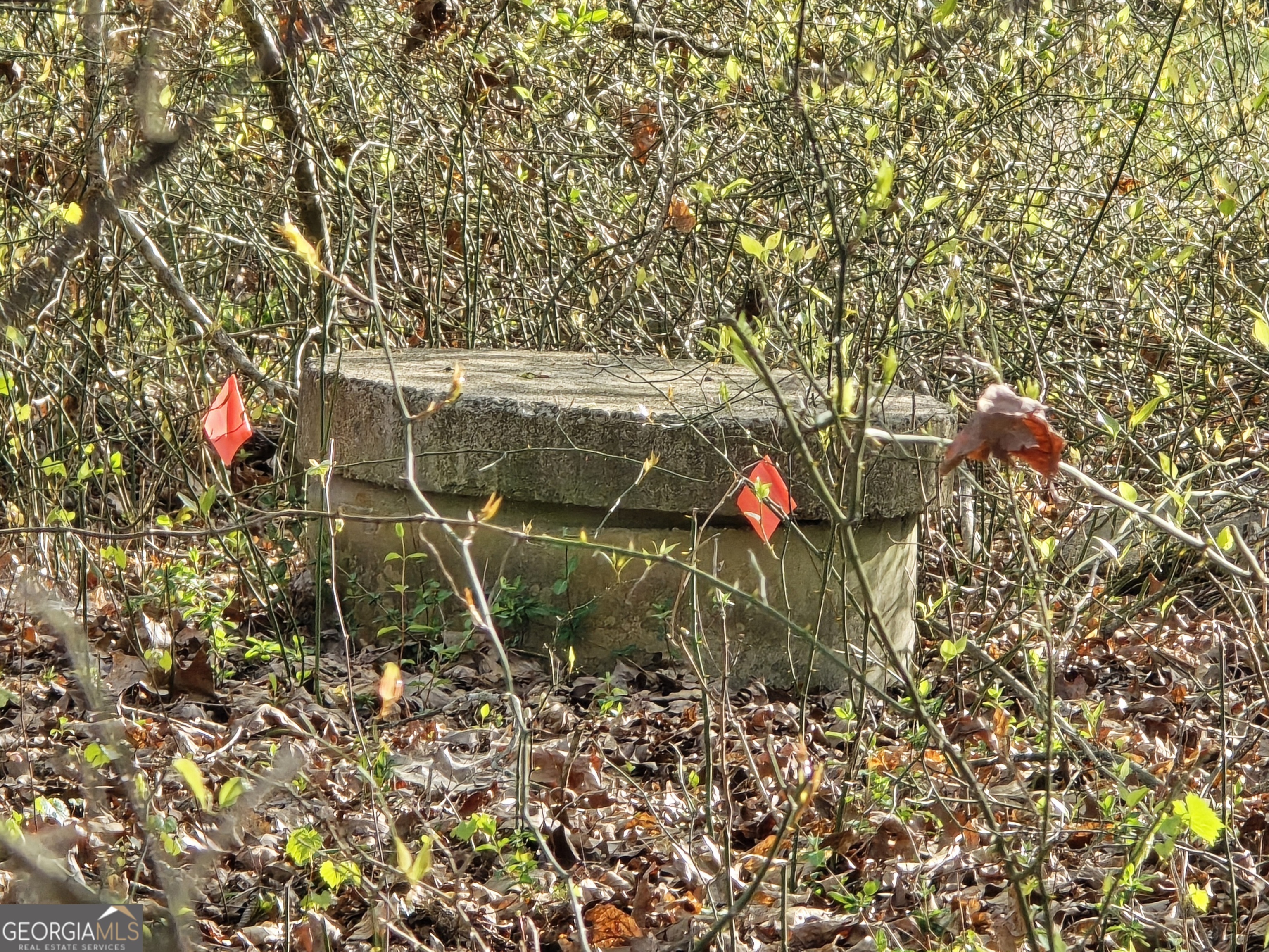 0 Willis Glenn Road Hull, GA 30646 - Photo 10 of 20