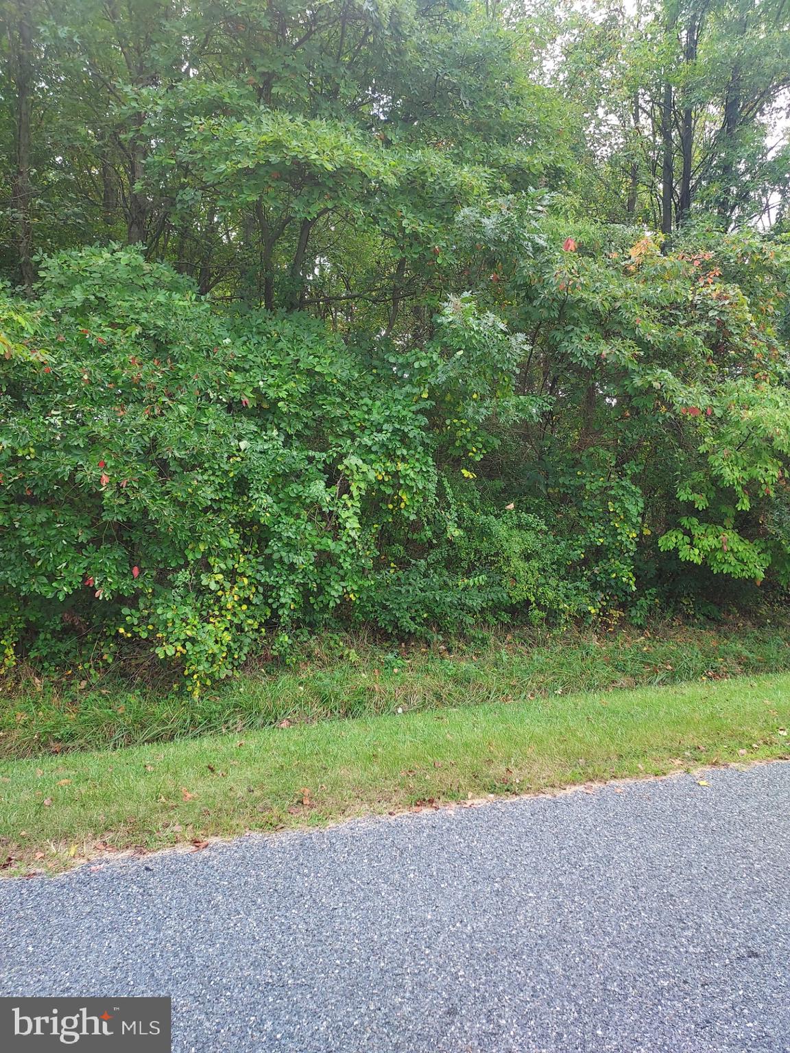 253-254 Carimon Road Chestertown, MD 21620 - Photo 3 of 3