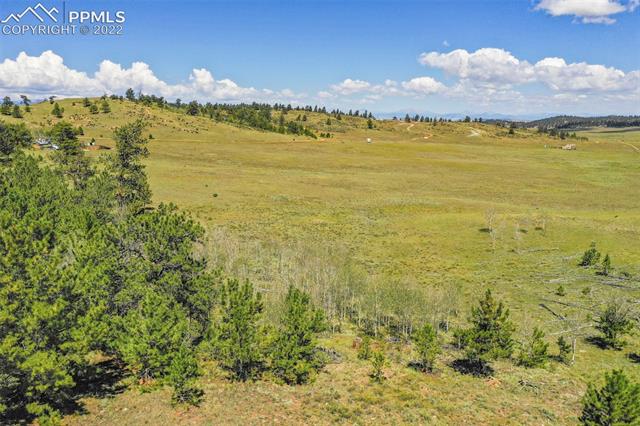 1043 Atoka Road Hartsel, CO 80449 - Photo 25 of 28 Gallery Image 25