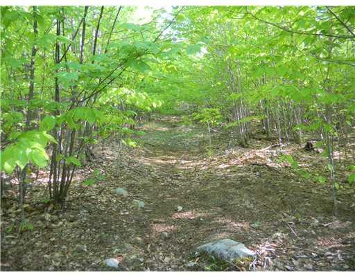 24 Gray Valley Road Guilford, ME 04443 - Photo 13 of 15 Land. Logging road heading away from...