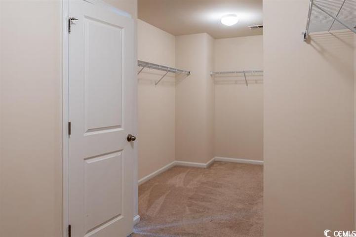 1221 Wind Swept Court Little River, SC 29566 - Photo 14 of 29 Walk in closet featuring light carpet