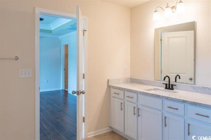 1221 Wind Swept Court Little River, SC 29566 - Photo 27 of 29 Bathroom with vanity, hardwood / wood-style floori