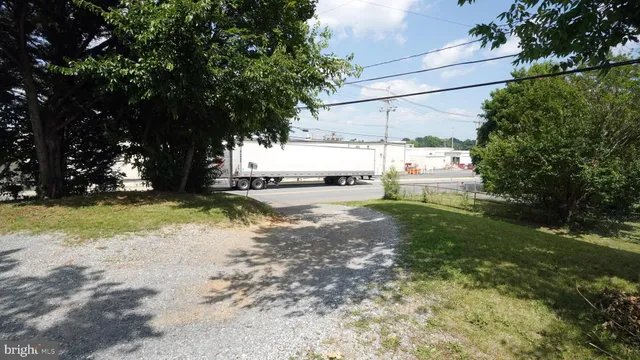 a view of a yard with a tree