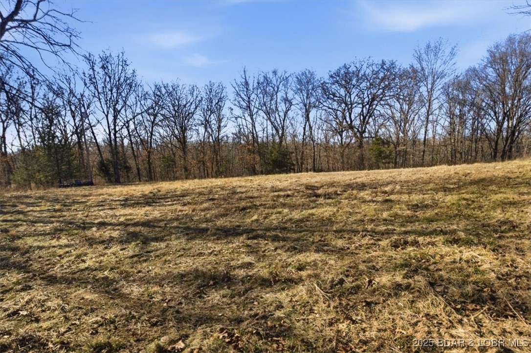 82-acres State Road North Climax Springs, MO 65324 - Photo 30 of 68