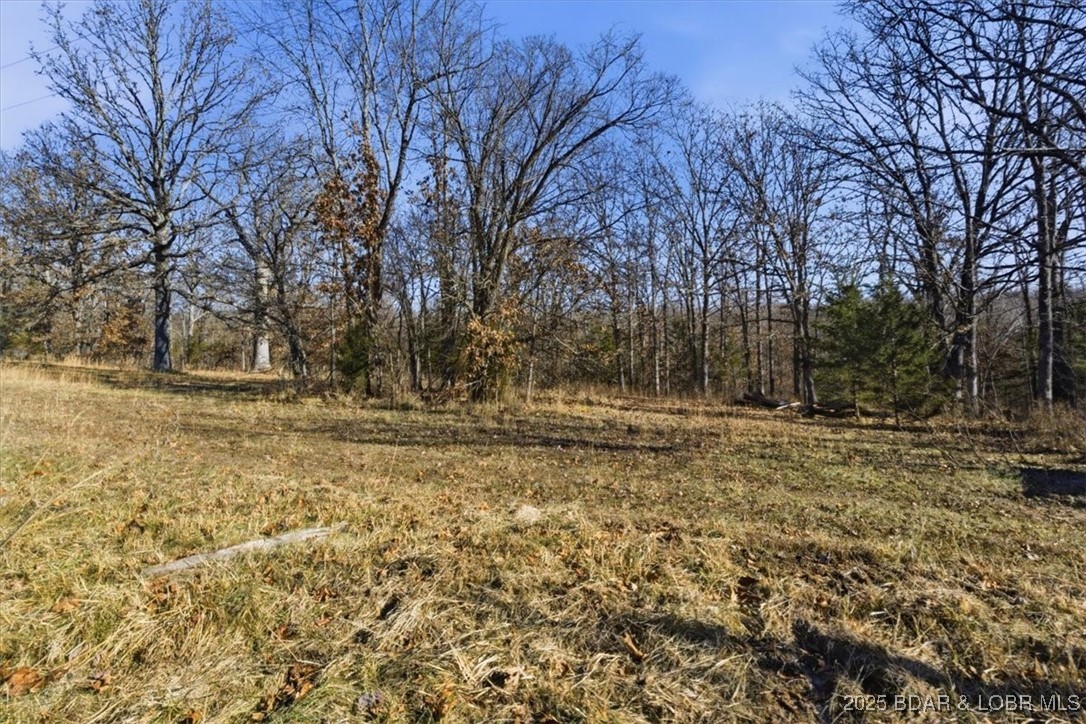 82-acres State Road North Climax Springs, MO 65324 - Photo 32 of 68