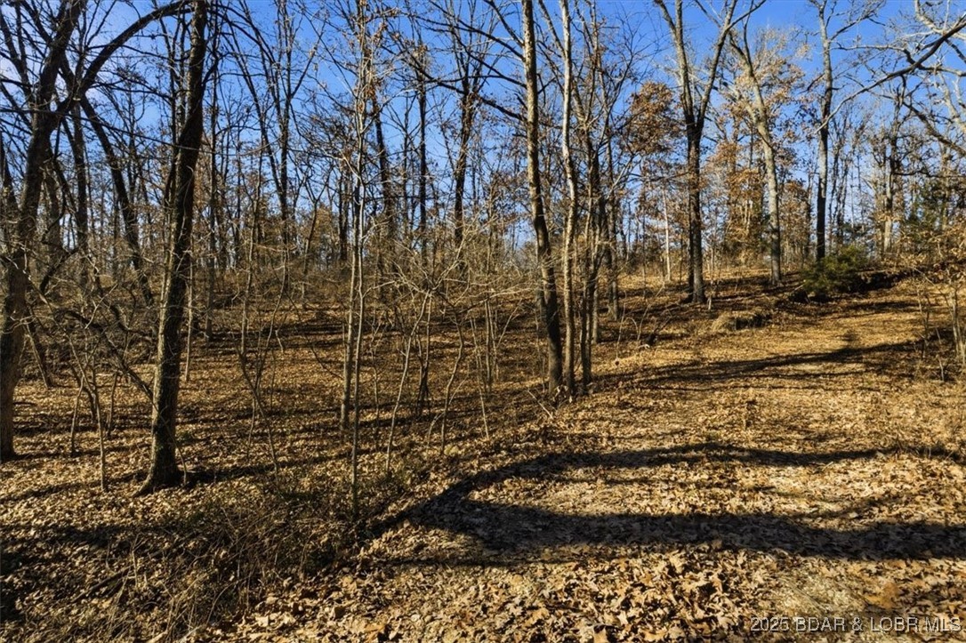 82-acres State Road North Climax Springs, MO 65324 - Photo 33 of 68