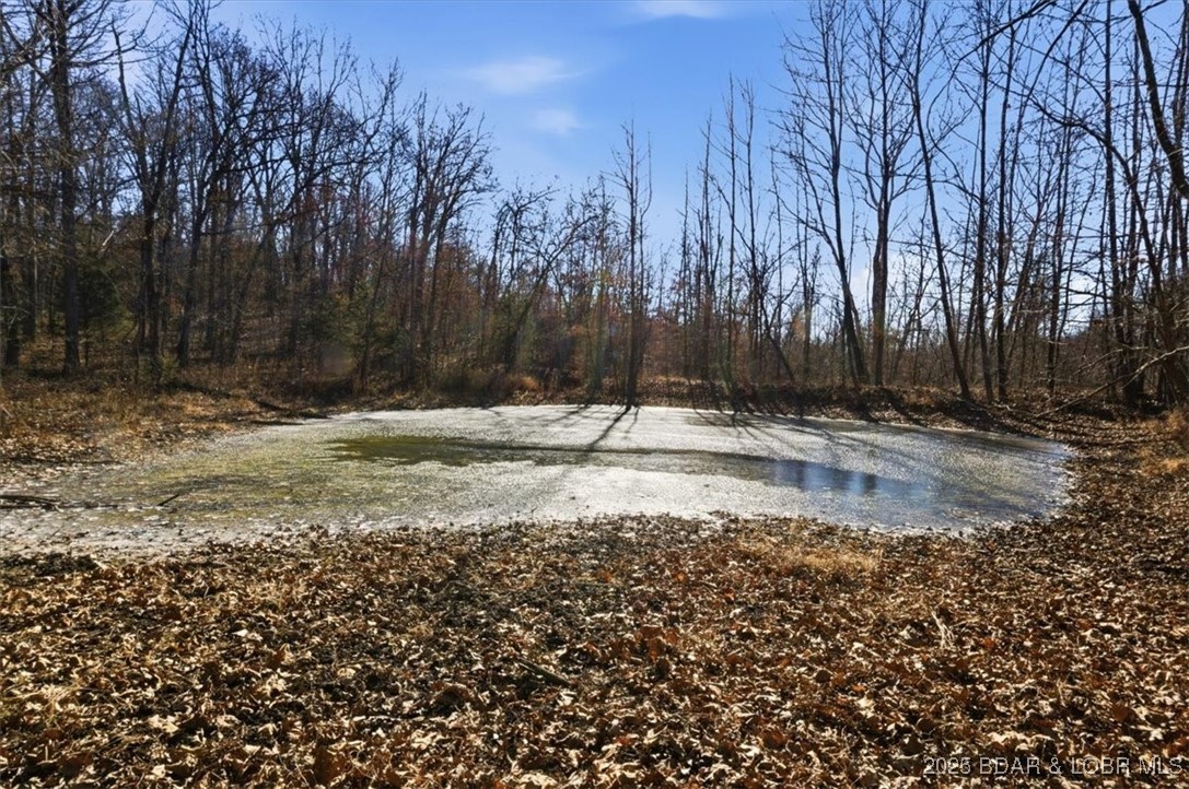 82-acres State Road North Climax Springs, MO 65324 - Photo 34 of 68