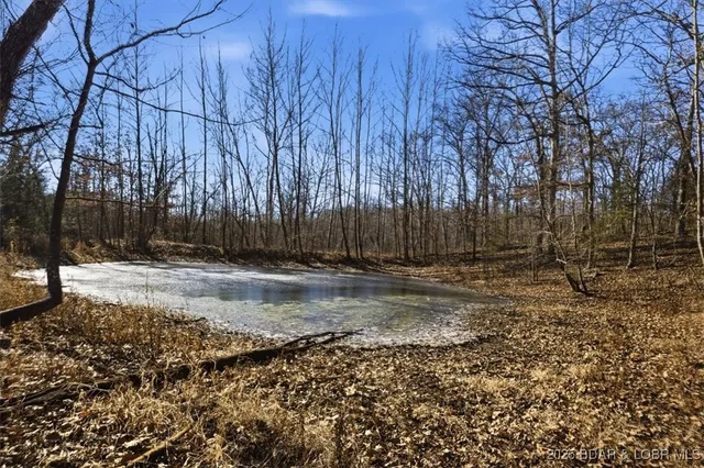 $389,900 | 82-acres State Road North, Climax Springs, MO 65324