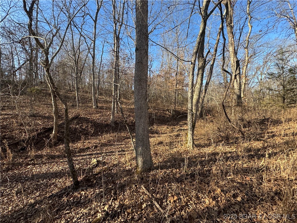 82-acres State Road North Climax Springs, MO 65324 - Photo 37 of 68