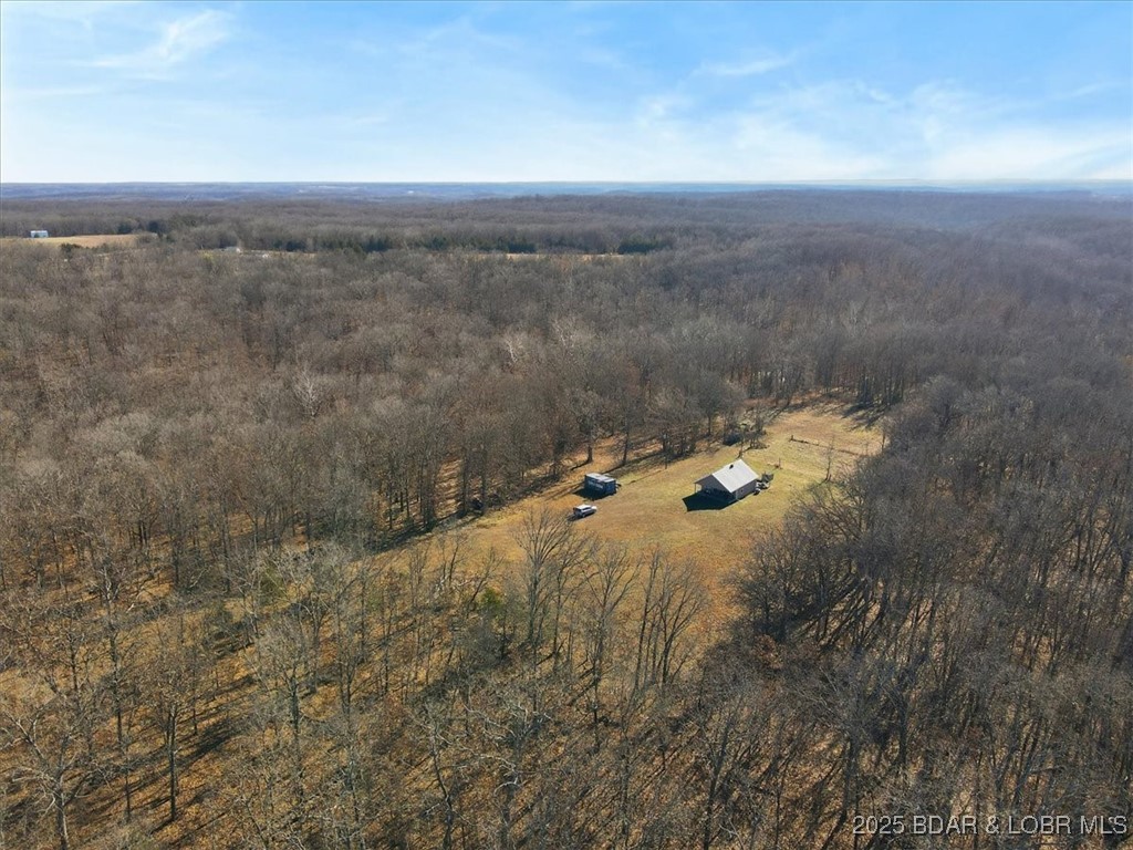 82-acres State Road North Climax Springs, MO 65324 - Photo 4 of 68