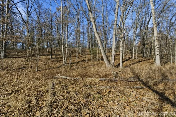 $360,000 | 82-acres State Road North, Climax Springs, MO 65324