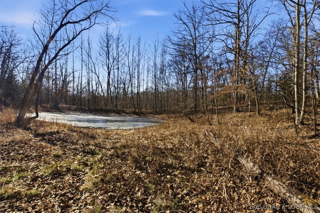82-acres State Road North Climax Springs, MO 65324 - Photo 42 of 68