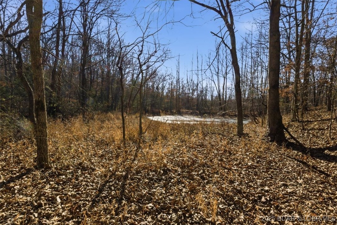 82-acres State Road North Climax Springs, MO 65324 - Photo 43 of 68