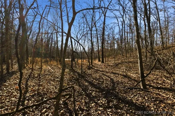 $360,000 | 82-acres State Road North, Climax Springs, MO 65324