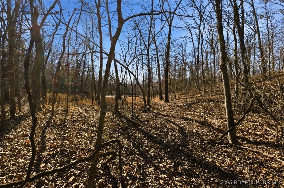 82-acres State Road North Climax Springs, MO 65324 - Photo 44 of 68