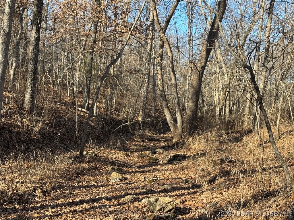 82-acres State Road North Climax Springs, MO 65324 - Photo 48 of 68