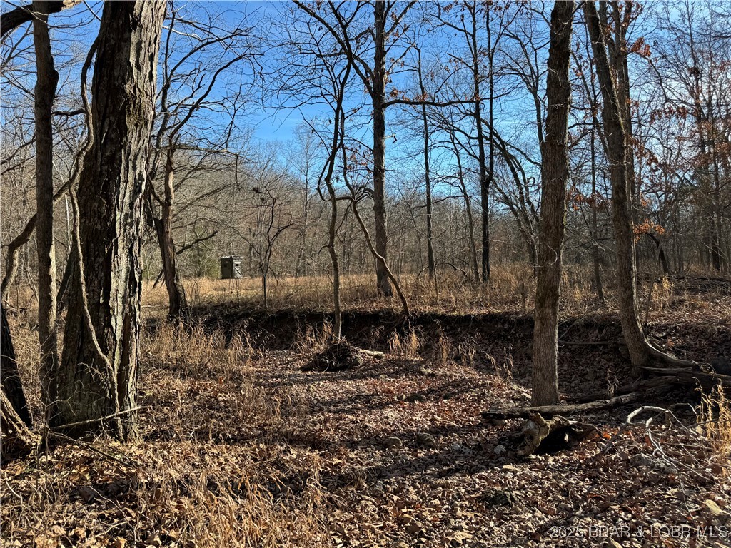 82-acres State Road North Climax Springs, MO 65324 - Photo 49 of 68
