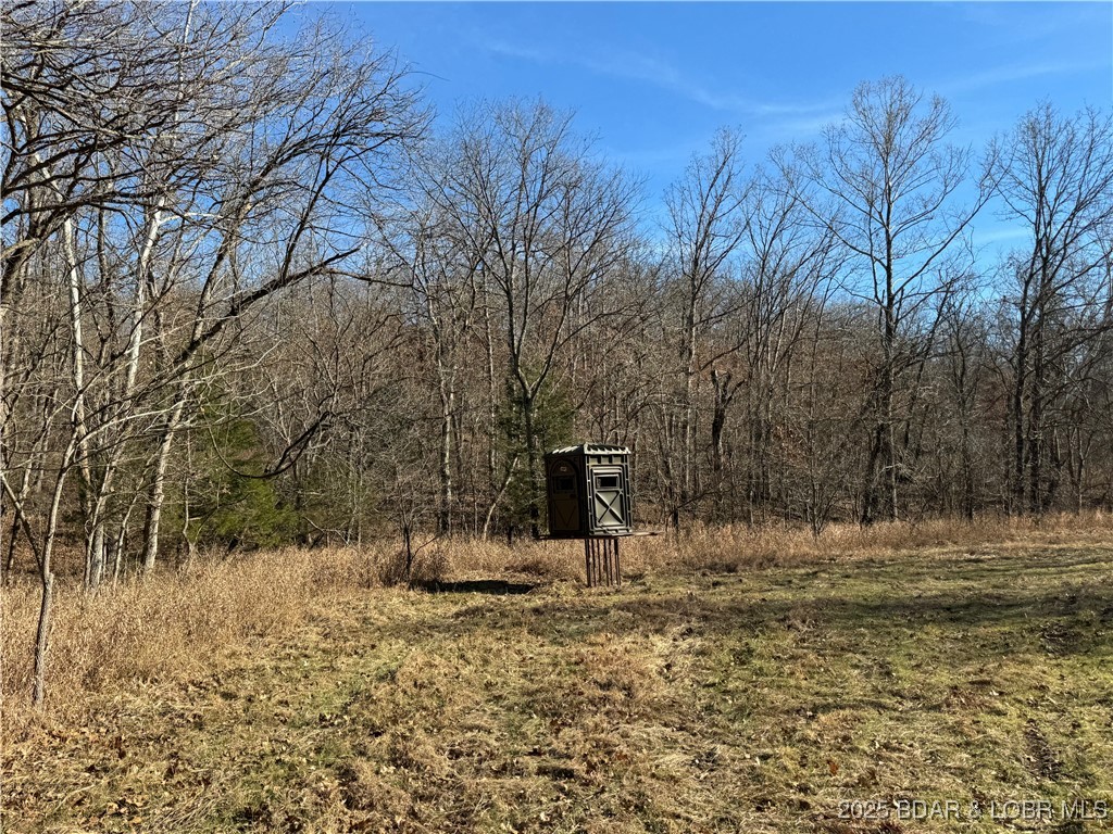 82-acres State Road North Climax Springs, MO 65324 - Photo 50 of 68