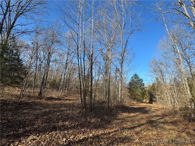 $389,900 | 82-acres State Road North, Climax Springs, MO 65324