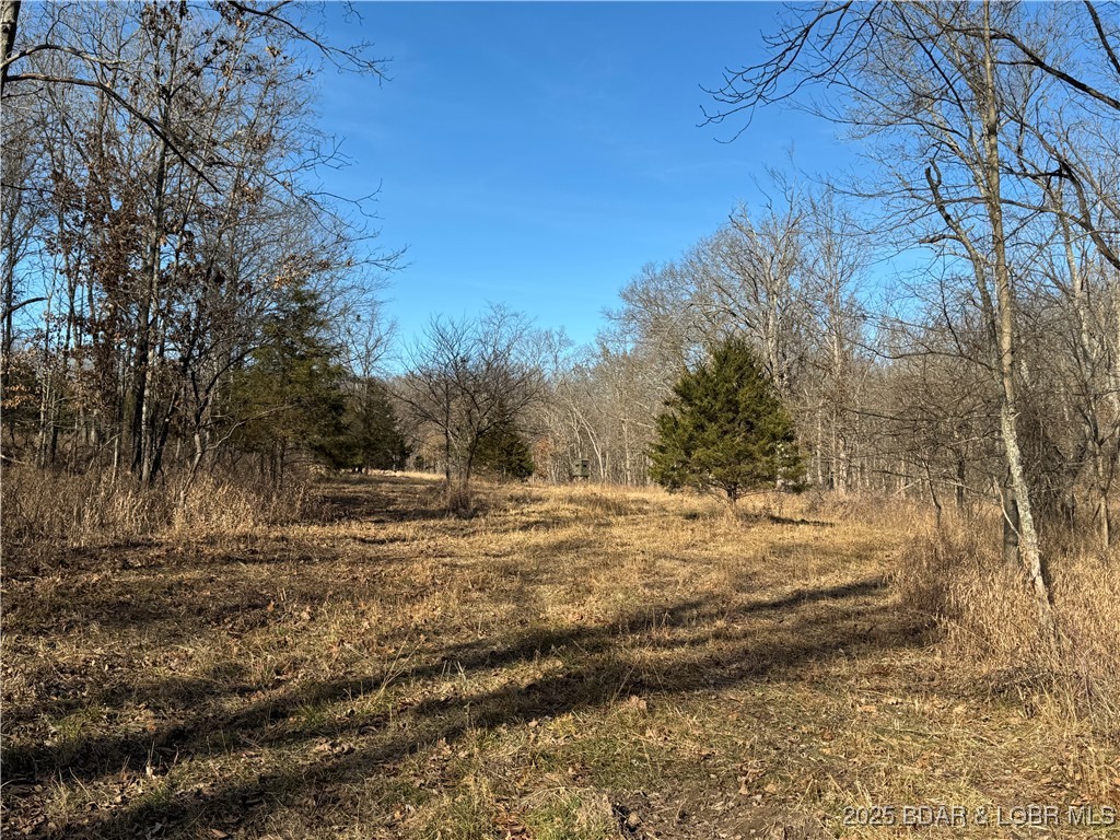 82-acres State Road North Climax Springs, MO 65324 - Photo 56 of 68