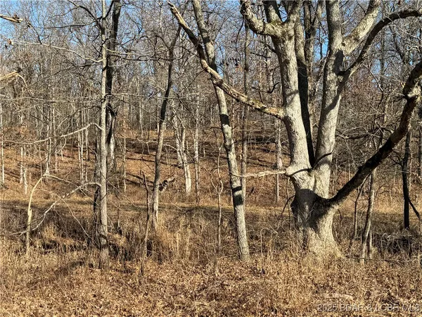 $360,000 | 82-acres State Road North, Climax Springs, MO 65324