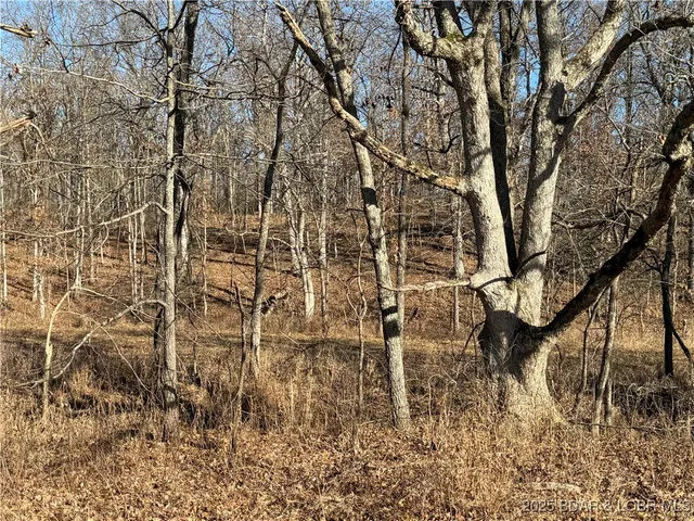 $389,900 | 82-acres State Road North, Climax Springs, MO 65324