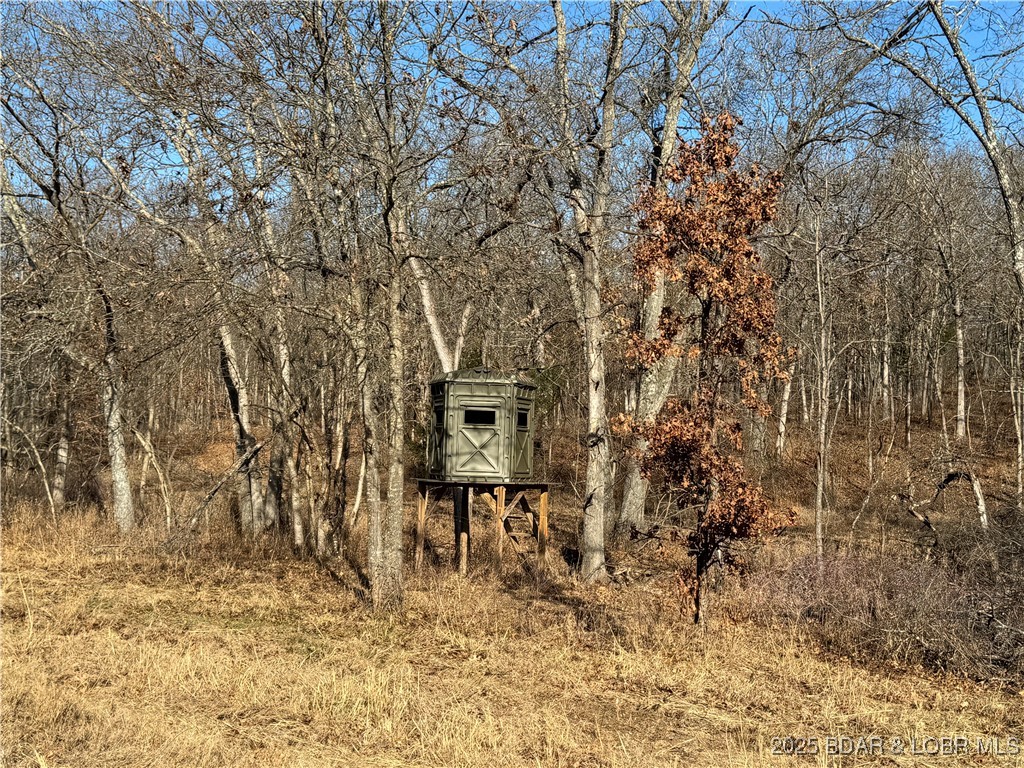82-acres State Road North Climax Springs, MO 65324 - Photo 59 of 68