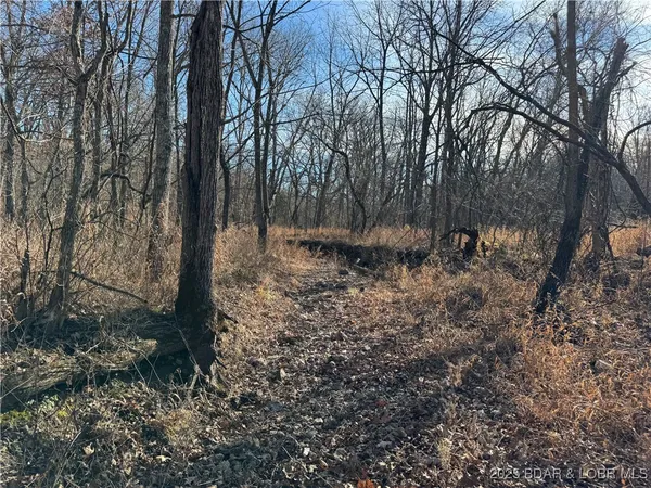 $360,000 | 82-acres State Road North, Climax Springs, MO 65324