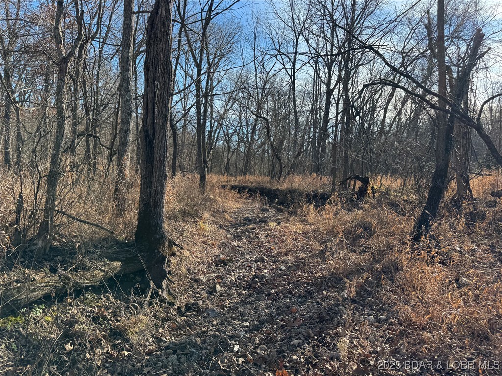 82-acres State Road North Climax Springs, MO 65324 - Photo 61 of 68