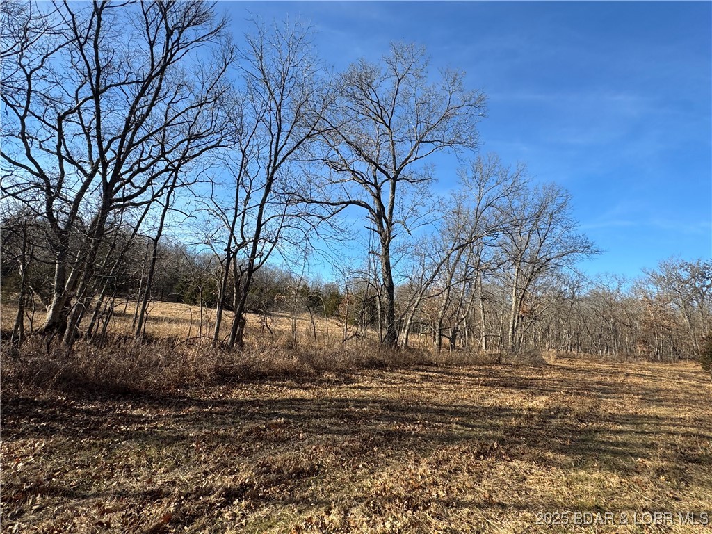 82-acres State Road North Climax Springs, MO 65324 - Photo 62 of 68
