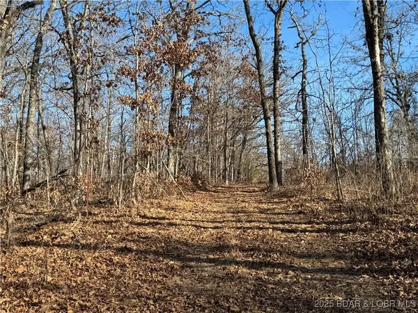 $360,000 | 82-acres State Road North, Climax Springs, MO 65324