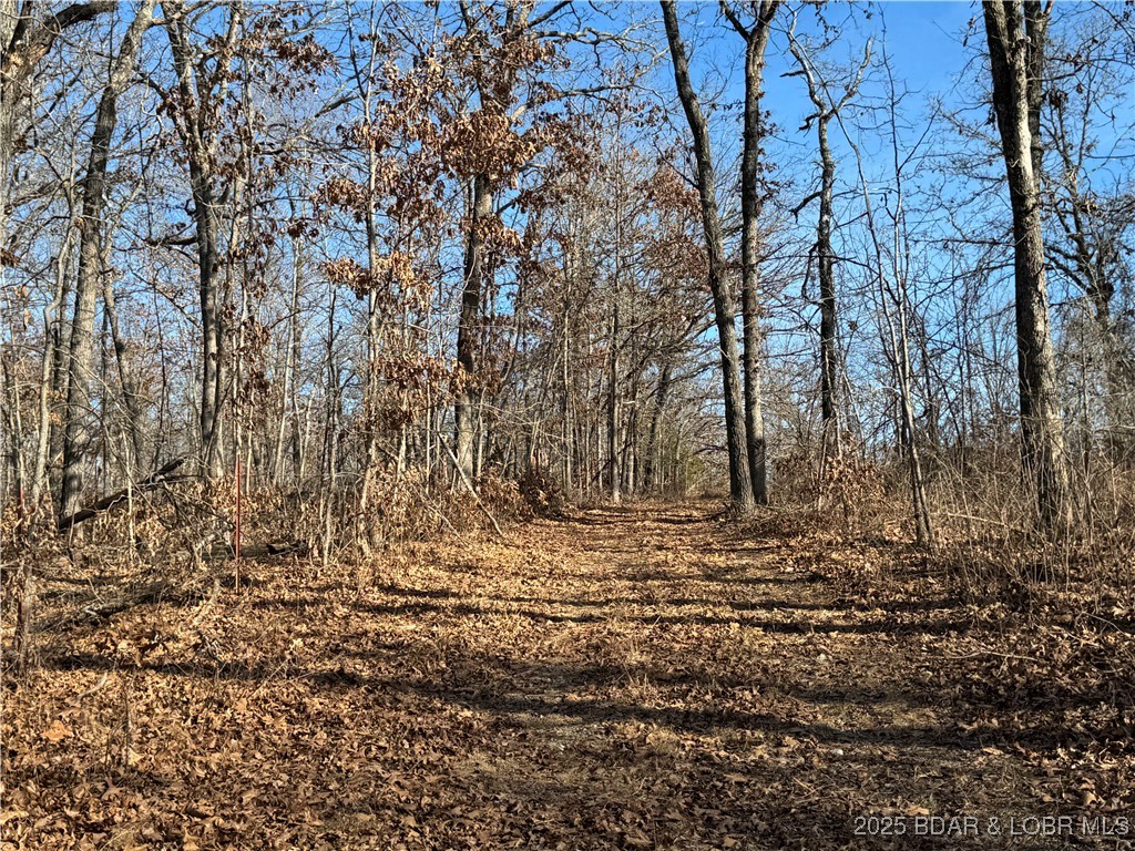 82-acres State Road North Climax Springs, MO 65324 - Photo 65 of 68
